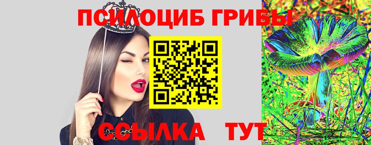 Галлюциногенные грибы GOLDEN TEACHER Печора